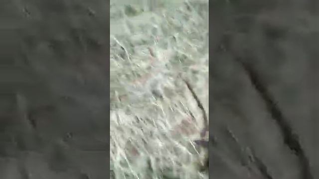 АСТРА250 благодарность пользователя смотреть онлайн