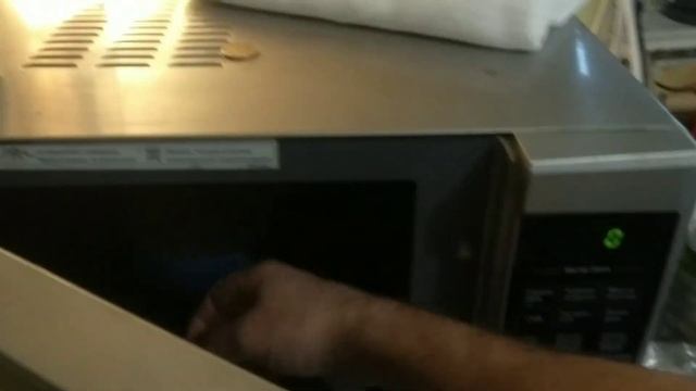 ??Собака Чихуахуа  родила щенков??????  Вкусный обед вместе с собаками?? ?Собаки едят орехи