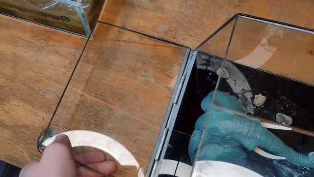 Selva Miniatura con plantas vivas смотреть онлайн