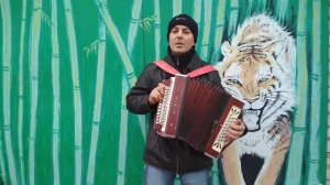 Песня под гармонь "Мосточки"