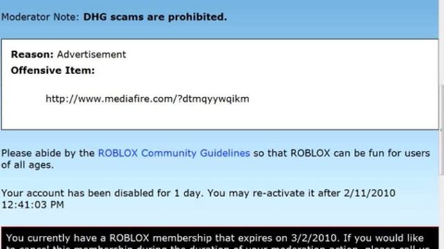 ROBLOX Ban Very stupid смотреть онлайн