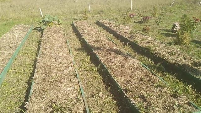Теплые и компостные грядки осенью!!! // Секреты хороших урожаев смотреть онлайн