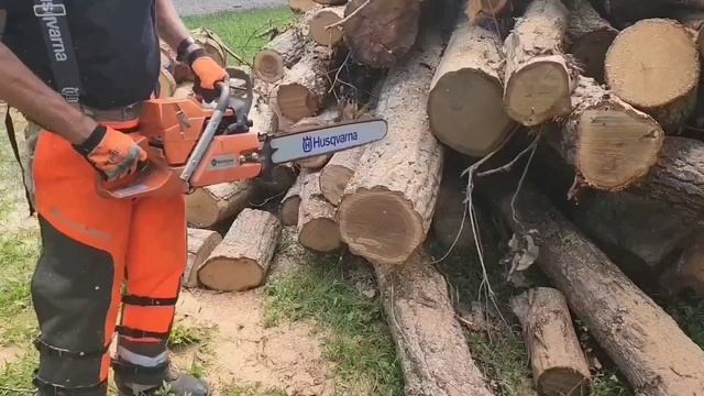 Husqvarna 562xp Review & Battle With China Saws!!!