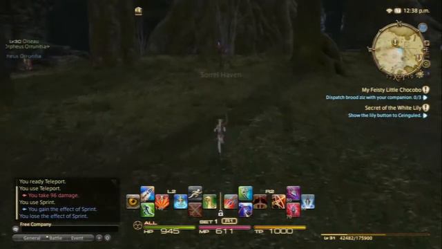 Final Fantasy XIV A REALM REBORN How To Fight a Chocobo смотреть онлайн