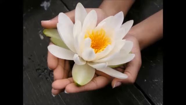 Медитация с богиней Лакшми смотреть онлайн