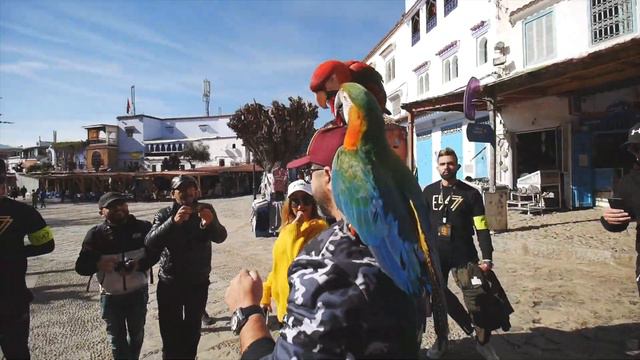 Making of | DAR DYALI | Qusai feat. Ahmed Chawki & Bilal Africano смотреть онлайн