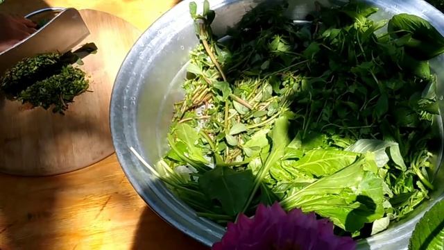 ДОВГА кисломолочный суп - Классика Азербайджанской кухни. Суп с зеленью на костре смотреть онлайн