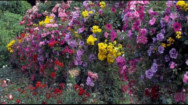 Цветы и музыка. часть 2 смотреть онлайн