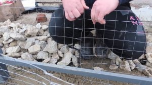 Идея недорогого забора своими руками. Фундамент из габионов вместо бетона