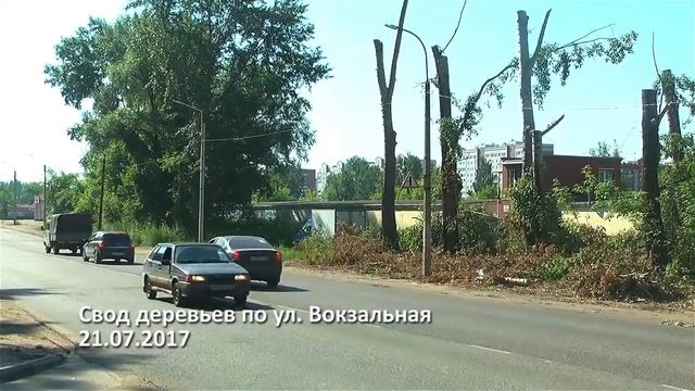 Свод деревьев по улице Вокзальная смотреть онлайн