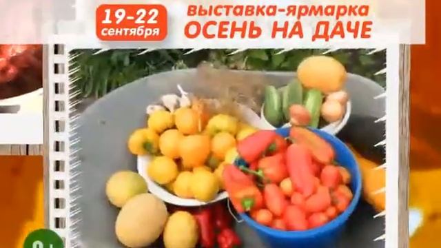 Выставка-ярмарка "Осень на даче", Красноярск смотреть онлайн