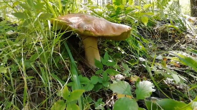 Стеклянная фляга на выбитых позициях. Нам повезло! | ПКВ #4 смотреть онлайн