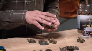 Как выбрать кормушку для флэт фидера?