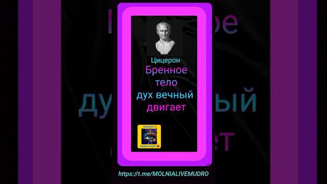 Мудрые мысли ! смотреть онлайн