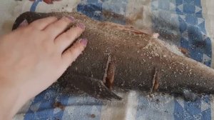 ГОРБУША СОЛЕНАЯ/ЛУЧШИЙ СПОСОБ ПОСОЛА ГОРБУШИ/СУХОЙ СПОСОБ/ЛЕГКО И БЫСТРО ПОСОЛИТЬ ГОРБУШУ ДОМА