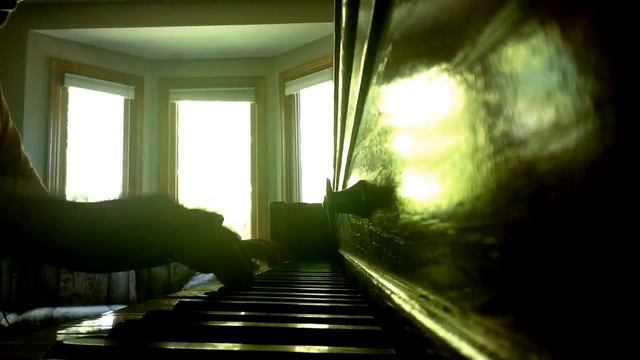 Skillet - I Want To Live - Piano Cover