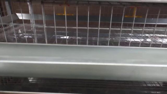 Семи ярусная клетка для доращивания перепелят