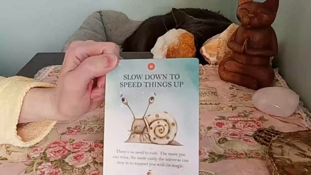 ?*What You Need To Know* ~ Pick-A-Card ~ Message From Spirit Reading? смотреть онлайн