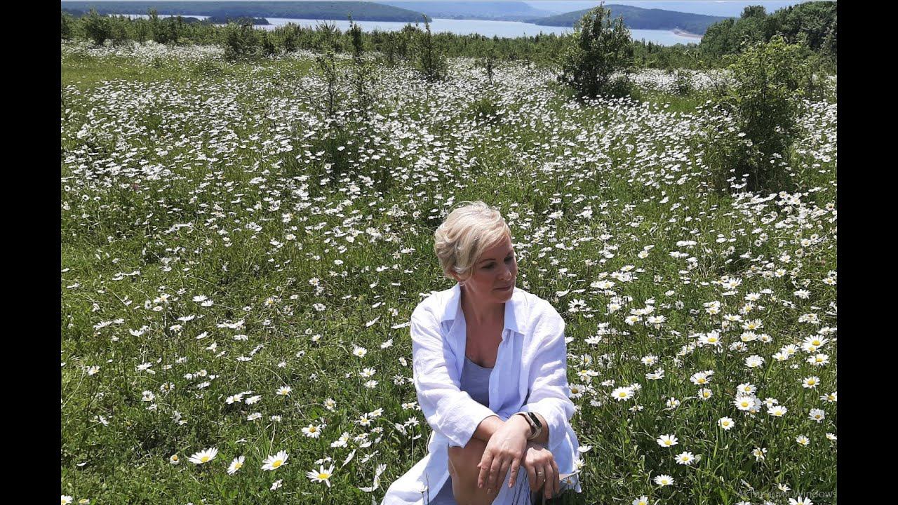 Наши ромашковые поля в Крыму смотреть онлайн