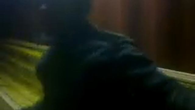 узбекски жими жими смотреть онлайн