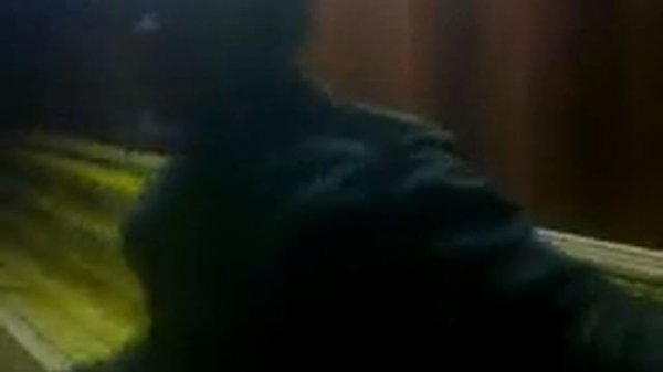 узбекски жими жими