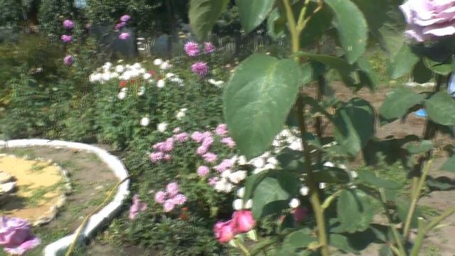 27.Первый осенний денёк!!! смотреть онлайн