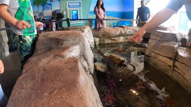 LEGOLAND в США / ПОЧЕМУ ТАК ДОРОГО? / Самый крутой парк.