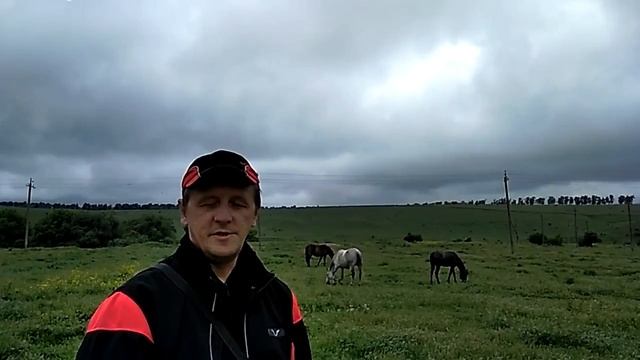 Сны о летнем тумане.mp4 смотреть онлайн