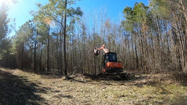 Munchie The Mulcher Mulching A Controlled Burn Fire Break! смотреть онлайн