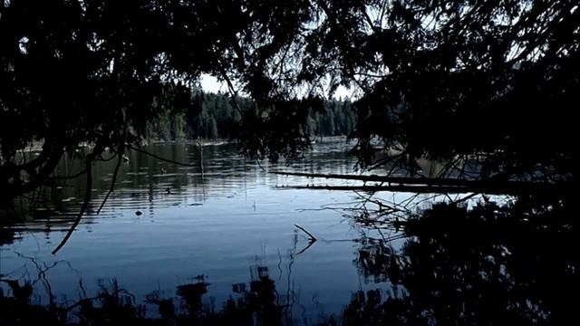 Чрево. Автор-Игорь Шанин. Мистическая история. ИторииТО. смотреть онлайн