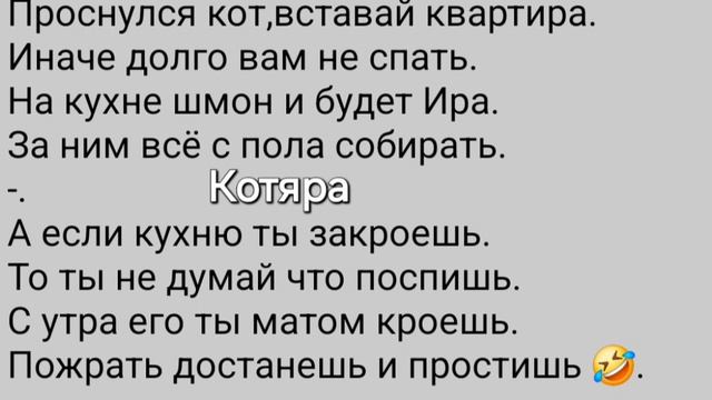 Котяра🤦