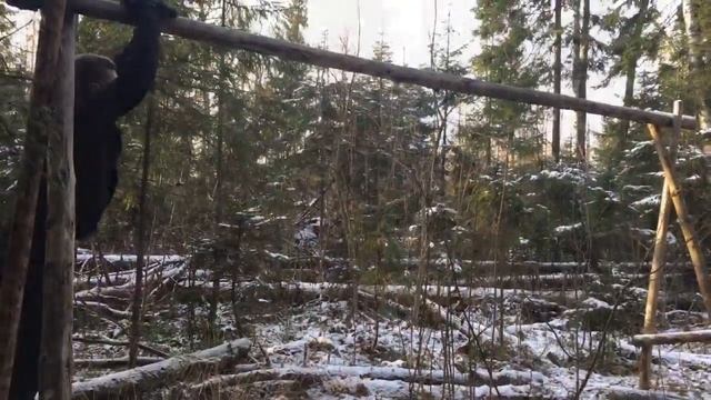 Видос с экзамена. Проект Чистота. смотреть онлайн