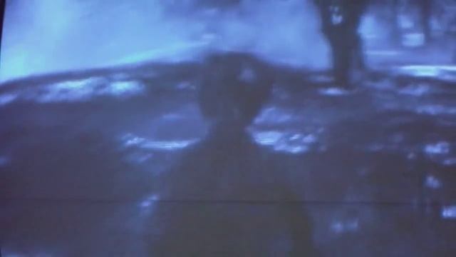 Tales from the Crypt-Werewolf vs. Vampires смотреть онлайн