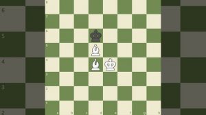 Мат двумя слонами