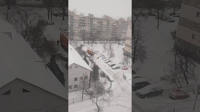 Киев замело.Мусор не вывозится. смотреть онлайн
