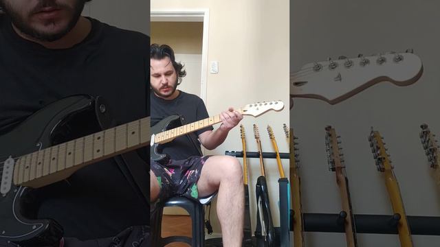 Partcaster Stratocaster David Gilmour - Sérgio Rosar Blues 43/King Mid - Alexandre Cesar Luthier смотреть онлайн