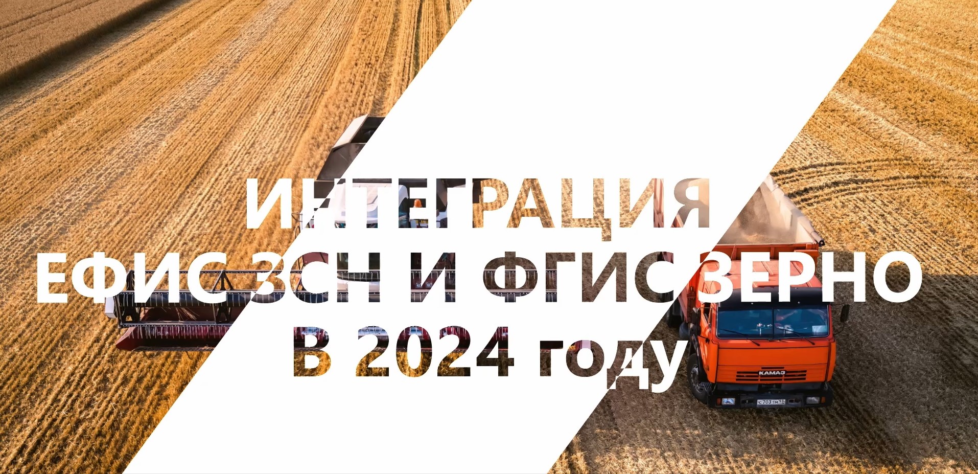 ФГИС ЗЕРНО И ЕФИС ЗСН: внесение урожая 2024 года смотреть онлайн