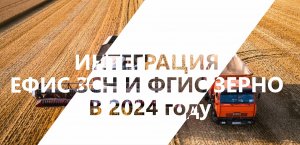 ФГИС ЗЕРНО И ЕФИС ЗСН: внесение урожая 2024 года