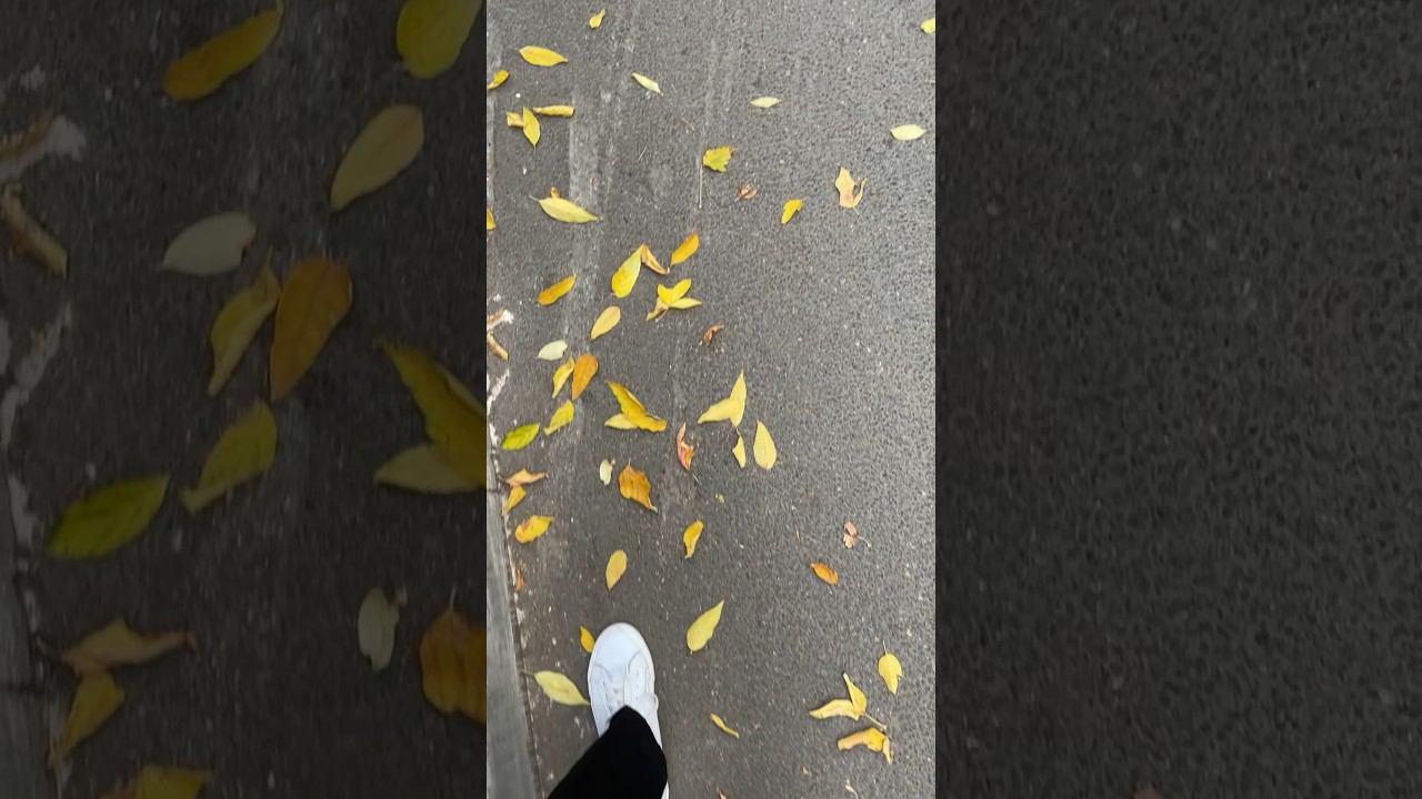 ✨autumn vibes ✨ смотреть онлайн