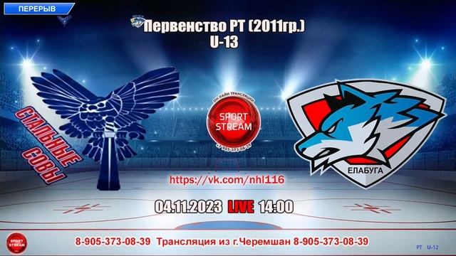 04.11.2023 СТАЛЬНЫЕ СОВЫ (Черемшан) - ВОЛКИ (Елабуга) LIVE 14:00 U-13 РТ (2011гр.) смотреть онлайн
