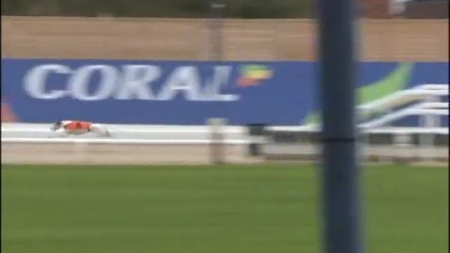 Trials 1-4 at Romford Greyhound Stadium 03.09.2020 смотреть онлайн