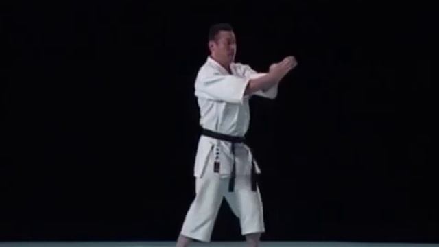 Seienchin _ Kata & Bunkai _ Shito Ryu Karate