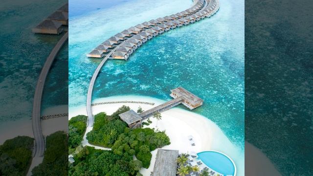 Превосходно - Видение