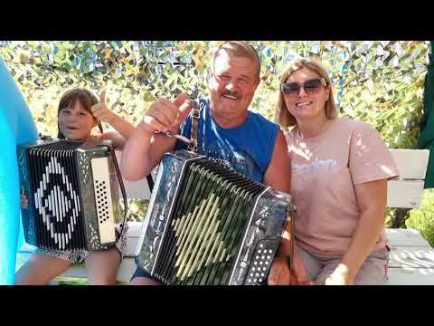 Алёнушка. Песня под гармонь. смотреть онлайн