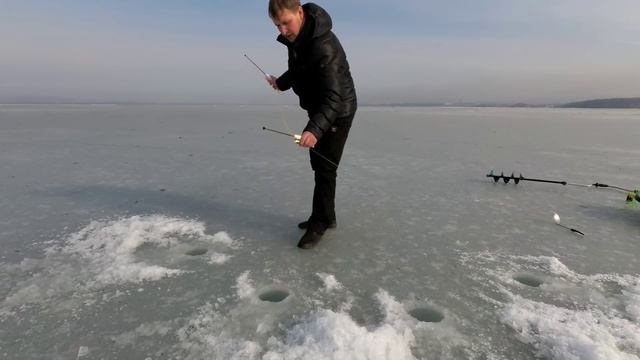 КАК Я ЛОВЛЮ НА КОМБАЙНЫ. #жекарыболов #комбайны смотреть онлайн