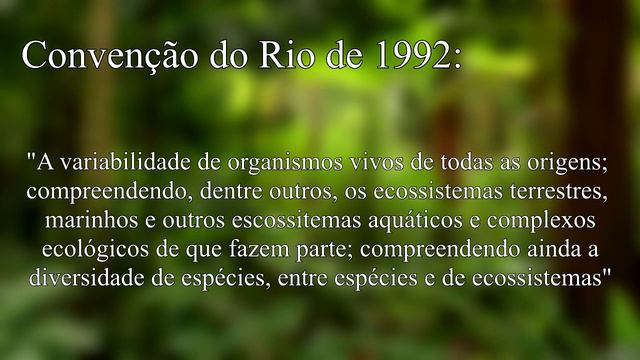 Biodiversidade e Biosfera (vídeo explicativo simples) смотреть онлайн