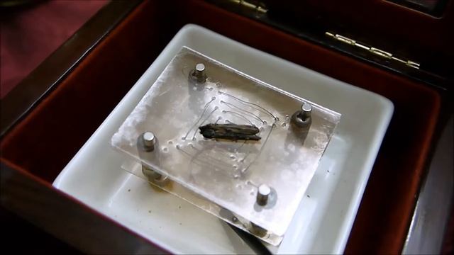 Sumatran Executive Agarwood/ Oud Wood Chips смотреть онлайн