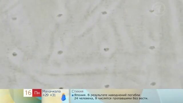 Как купить цемент? Разоблачаем подделку! смотреть онлайн