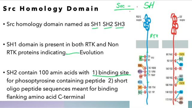Lec 19: The Biology of Cancer (protein communication inside cell) смотреть онлайн