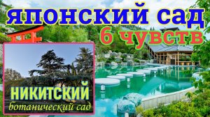 ? Японский сад «ШTЕСТЬ ЧУВСТВ» | Никитский ботанический сад ? | КРЫМ | Ялта